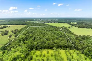 8250 Waukeenah Hwy, Monticello, FL 32344 - Photo 30