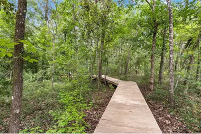 8250 Waukeenah Highway, Monticello, FL 32344 - Photo 12