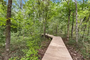 8250 Waukeenah Hwy, Monticello, FL 32344 - Photo 12