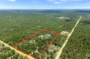 419 Lily Trail, Interlachen, FL 32148 - Photo 38
