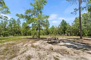419 Lily Trail, Interlachen, FL 32148 - Photo 38