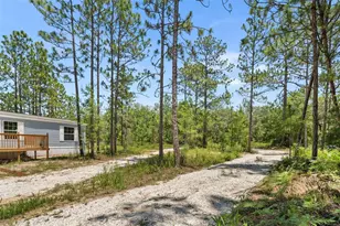 419 Lily Trail, Interlachen, FL 32148 - Photo 34