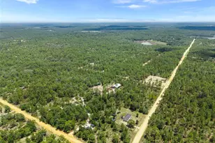 419 Lily Trail, Interlachen, FL 32148 - Photo 46