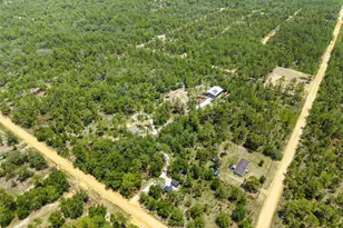 419 Lily Trail, Interlachen, FL 32148 - Photo 40