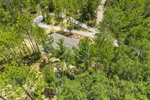 419 Lily Trail, Interlachen, FL 32148 - Photo 52