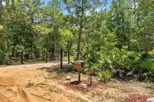 419 Lily Trail, Interlachen, FL 32148 - Photo 44