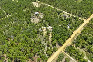 419 Lily Trail, Interlachen, FL 32148 - Photo 48