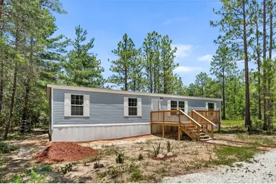 419 Lily Trail, Interlachen, FL 32148 - Photo 4