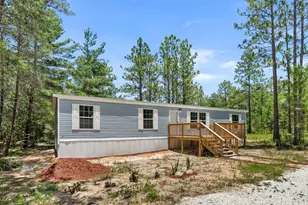 419 Lily Trail, Interlachen, FL 32148 - Photo 4