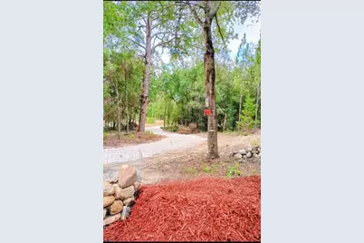 419 Lily Trail, Interlachen, FL 32148 - Photo 56