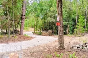 419 Lily Trail, Interlachen, FL 32148 - Photo 56