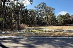 2630 SW 250th Terrace, Newberry, FL 32669 - Photo 2