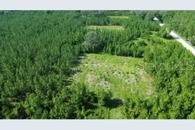 Sw Carpenter Road W, Lake City, FL 32024 - Photo 2