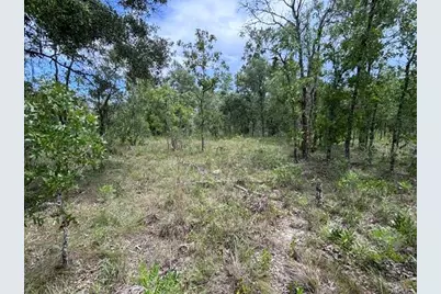 Se 16 Lane, Morriston, FL 32668 - Photo 2
