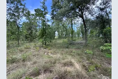 Se 16 Lane, Morriston, FL 32668 - Photo 1