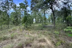 SE 16 Ln, Morriston, FL 32668 - Photo 1
