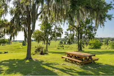 21601 Old Bellamy Road, Alachua, FL 32615 - Photo 6