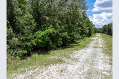 Lot 53 SW Roanoke Terrace, Fort White, FL 32038 - Photo 2
