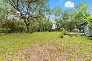 201-203 NE Tahota Ave, Micanopy, FL 32667 - Photo 48