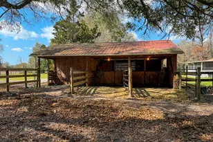 18950 NE 55th St, Williston, FL 32696 - Photo 52