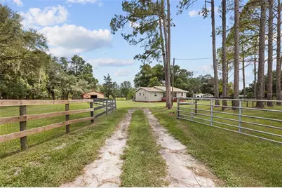 18950 NE 55th Street, Williston, FL 32696 - Photo 38