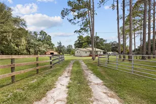 18950 NE 55th St, Williston, FL 32696 - Photo 38