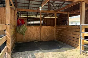 18950 NE 55th St, Williston, FL 32696 - Photo 54