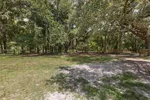 18950 NE 55th St, Williston, FL 32696 - Photo 36