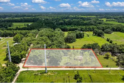 18950 NE 55th Street, Williston, FL 32696 - Photo 48