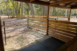 18950 NE 55th St, Williston, FL 32696 - Photo 56