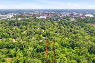 1732 NW 8th Ave, Gainesville, FL 32603 - Photo 12