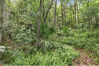 1732 NW 8th Avenue, Gainesville, FL 32603 - Photo 22