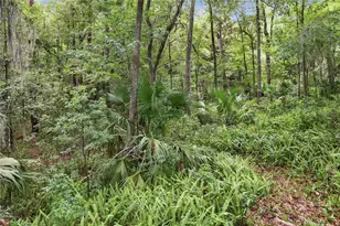 1732 NW 8th Ave, Gainesville, FL 32603 - Photo 22