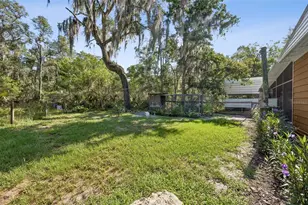 110 Plumosa Dr, Georgetown, FL 32139 - Photo 22