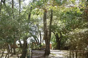 8315 Lilly Lake Rd, Melrose, FL 32666 - Photo 44