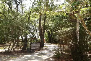 8315 Lilly Lake Rd, Melrose, FL 32666 - Photo 44
