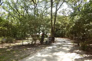 8315 Lilly Lake Rd, Melrose, FL 32666 - Photo 46