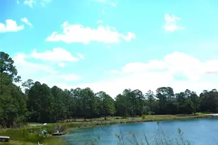 8315 Lilly Lake Rd, Melrose, FL 32666 - Photo 38