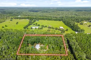 6679 NW 27th Pl, Bell, FL 32619 - Photo 54
