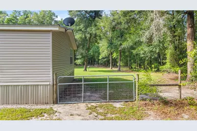 6679 NW 27th Place, Bell, FL 32619 - Photo 8