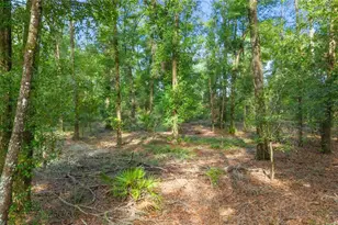 6679 NW 27th Pl, Bell, FL 32619 - Photo 10