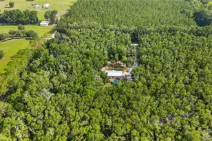 6679 NW 27th Pl, Bell, FL 32619 - Photo 52