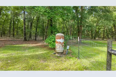 6679 NW 27th Place, Bell, FL 32619 - Photo 44