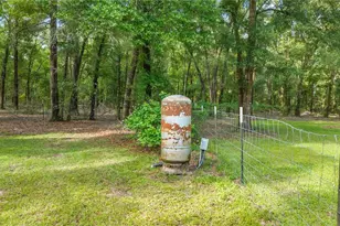 6679 NW 27th Pl, Bell, FL 32619 - Photo 44