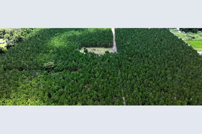 9970 SE 154th Avenue, White Springs, FL 32096 - Photo 20