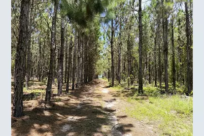 9970 SE 154th Avenue, White Springs, FL 32096 - Photo 12