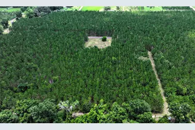 9970 SE 154th Avenue, White Springs, FL 32096 - Photo 14