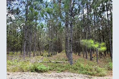 9970 SE 154th Avenue, White Springs, FL 32096 - Photo 10