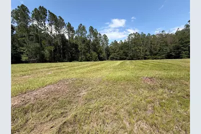 Sw Windsor Court, Lake City, FL 32024 - Photo 6