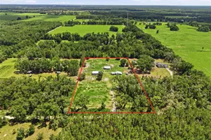 4889 SW 35th Trail, Bell, FL 32619 - Photo 44